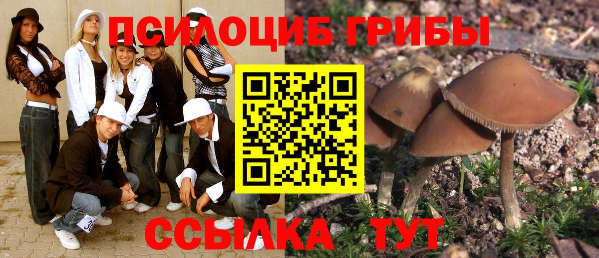 Галлюциногенные грибы Psilocybe Коммунар